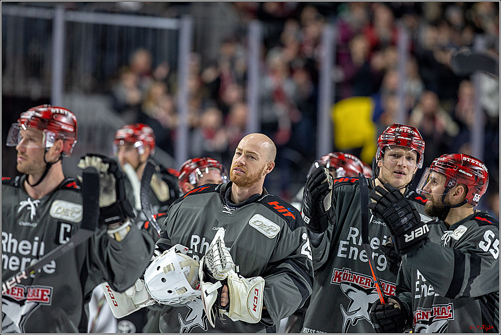 DEL; Koelner Haie - Thomas Sabo Ice Tigers, 28.11.2018